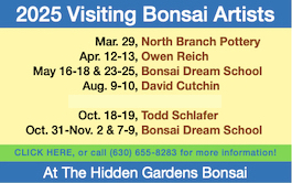 2025 Bonsai Artists